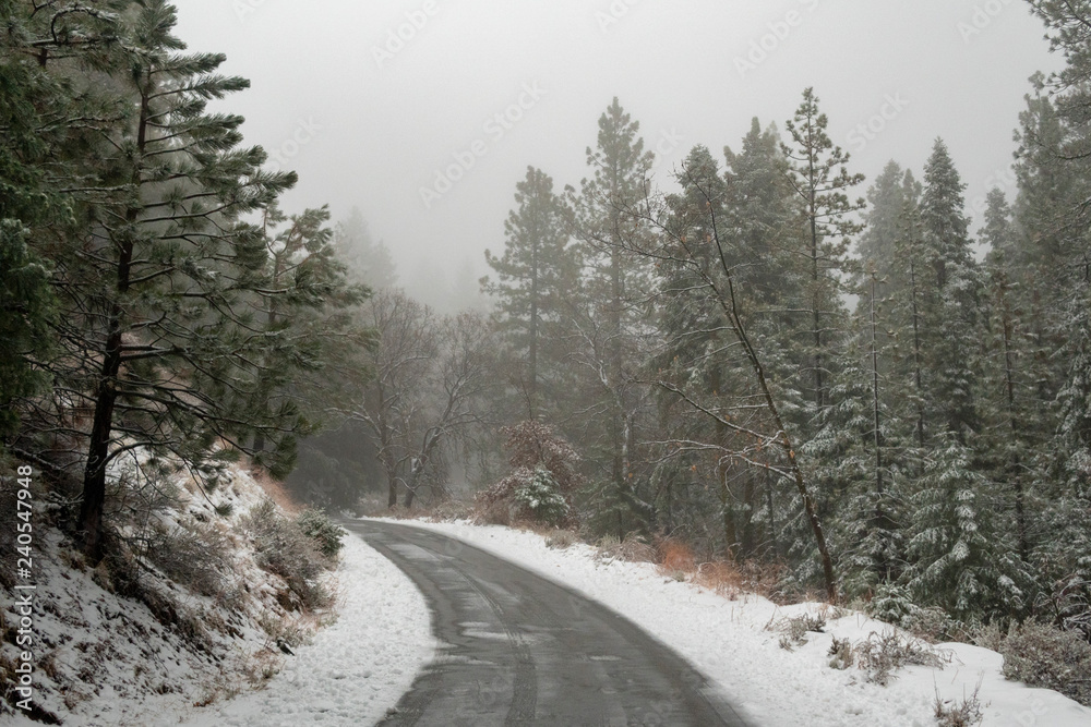 Snow in the mountains of Tehachapi Snow in the mountains of Tehachapi
