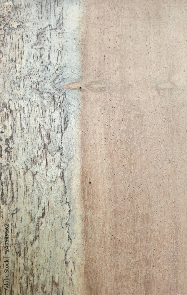 Fototapeta premium Wood back ground