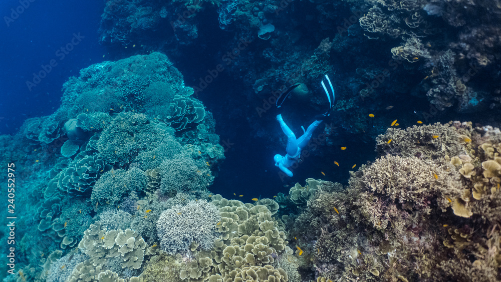 Free diver explores an underwater crevice Free diver explores an underwater crevice