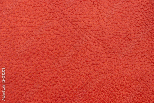 Sample genuine leather red colour. Material of animal origin. Close-up.