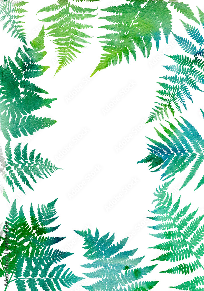 Background with fern leaves