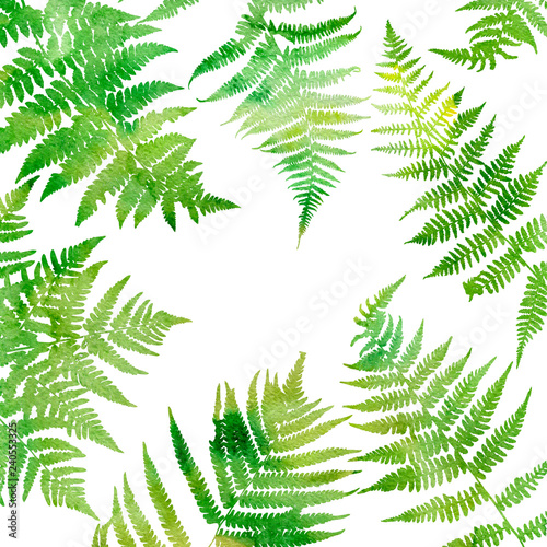 Background with fern leaves
