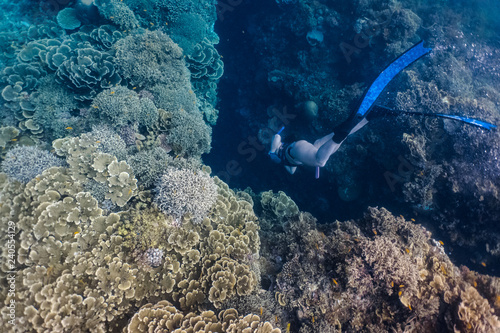 Fototapeta Naklejka Na Ścianę i Meble -  Free diver explores an underwater crevice