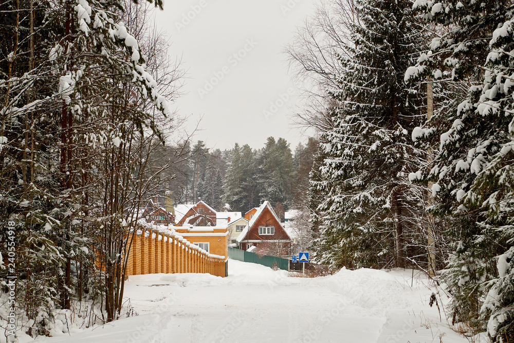 Houses in the village on a winter day in the snow. Rural and rustic landscape in a cold day Houses in the village on a winter day in the snow. Rural and rustic landscape in a cold day