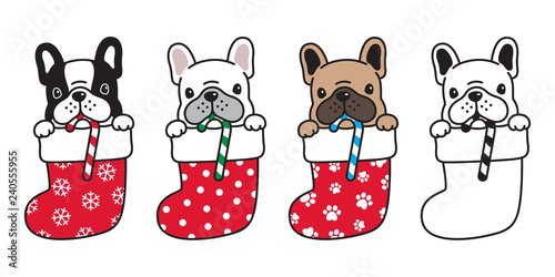 dog vector french bulldog christmas sock candy cane Xmas Santa claus snowflake cartoon character icon logo illustration