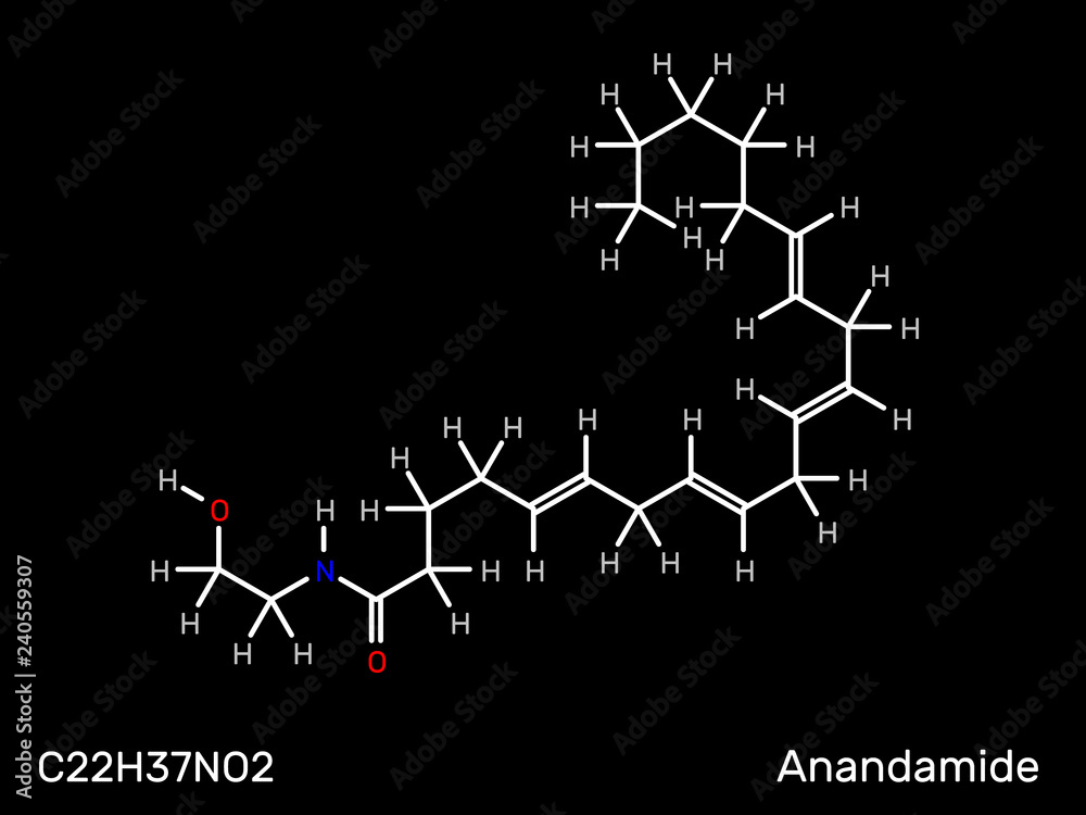 Fototapeta premium Anandamide, endogenous neurotransmitter structural formula. Vector illustration