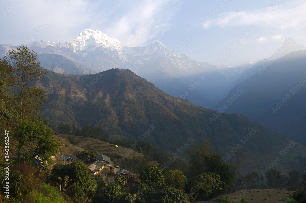 Snowy peaks and forest hills. Trekking to Annapurna Base Camp