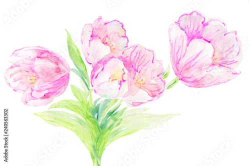 Tulips bouquet watercolor