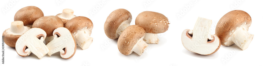 Fresh champignon mushrooms isolated on white background Fresh champignon mushrooms isolated on white background