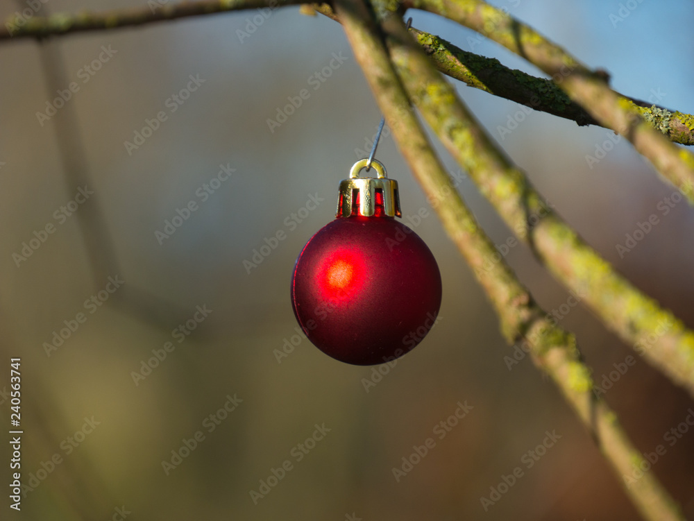 Noël en extérieur Noël en extérieur