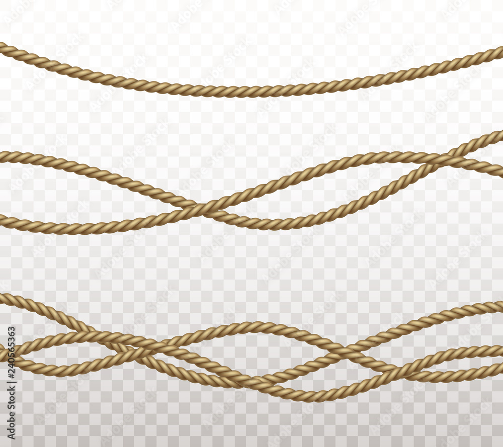 Rope set isolated on transparent background. Vector realistic
