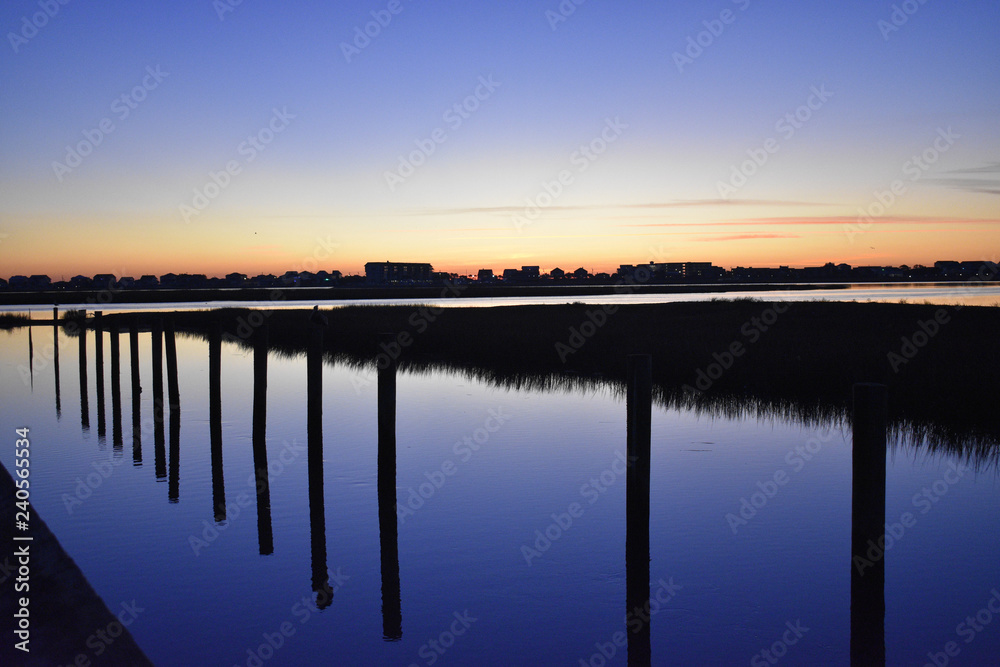 Fototapeta premium Marsh Life Dawn