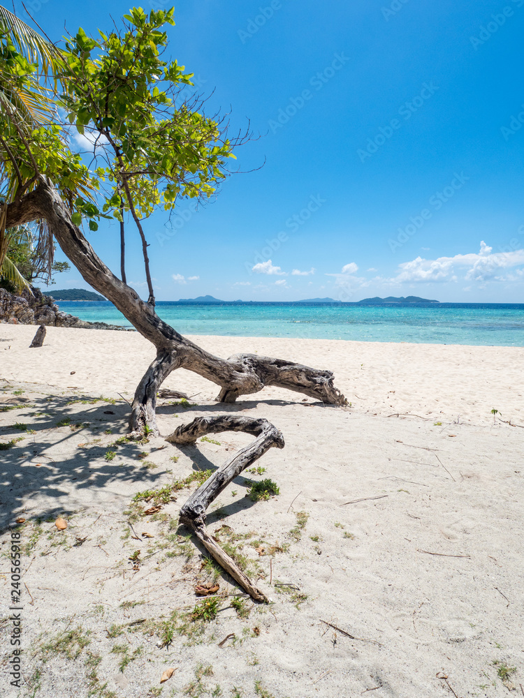 Amazing tropical beach with coconut palm trees, idyllic clean ocean white sand and clear blue sky at sunny summer day on luxury remote resort. Banana island, Philippines, 2018 Amazing tropical beach with coconut palm trees, idyllic clean ocean white sand and clear blue sky at sunny summer day on luxury remote resort. Banana island, Philippines, 2018