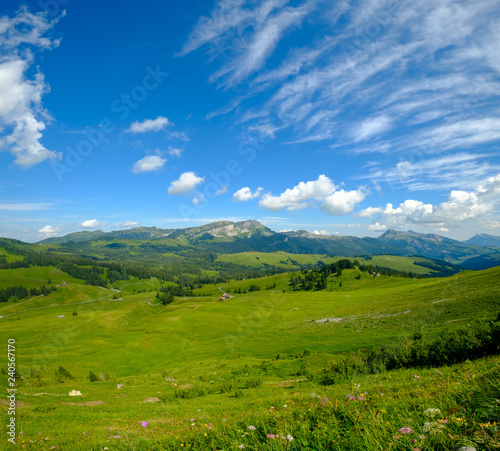 Summer time mountain nature panoramic landscape near Habkern, Switzerland
