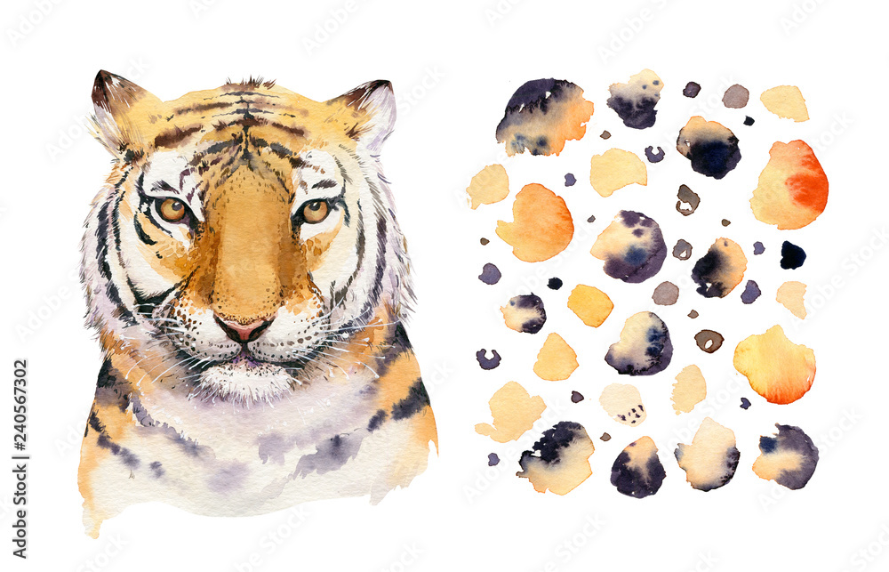 Watercolor tropical tiger animal isolated illustration, wild cat axotic  animals. plant monstera, lianas jungle artwork. Fasion print design. Stock  Illustration | Adobe Stock