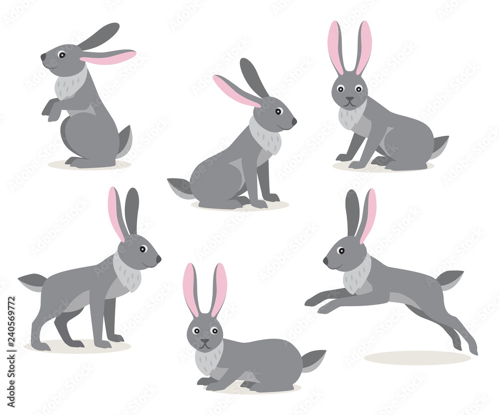 Set of icon cute gray hare in different pose isolated on white background, forest, woodland animal, vector illustration in flat style
