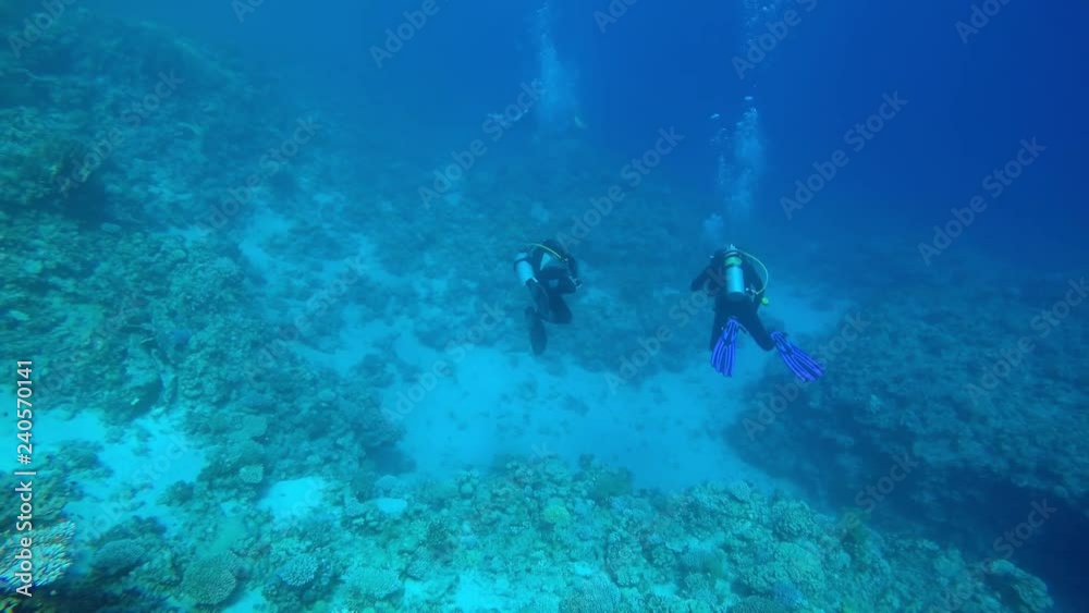 Egypt Dahab diving in the red sea. Egypt Dahab diving in the red sea.
