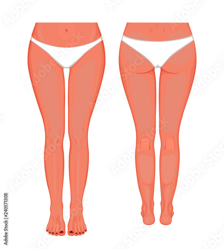 Posterior, frontal, anterior, back views, sides of a European female legs, hips, knees and ankles with underpants. Vector illustration for advertising, medical (health care) publications