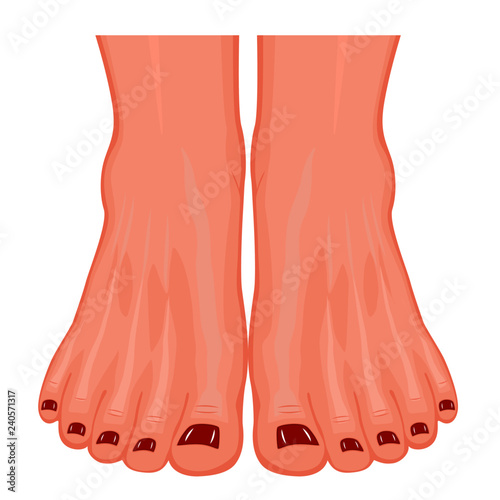 Front view of a human feet with colored toenails. Vector illustration for advertising, medical (health care) publications