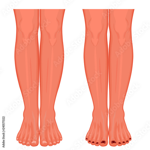 Human legs with ankle and knee. Vector illustration for advertising, medical (health care) publications