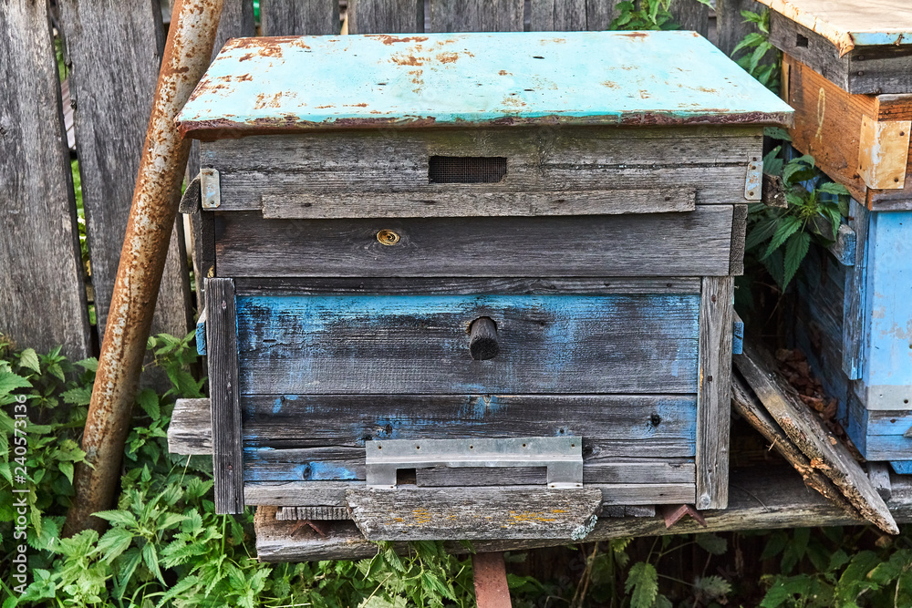 Old empty beehive in the garden near the fence Old empty beehive in the garden near the fence