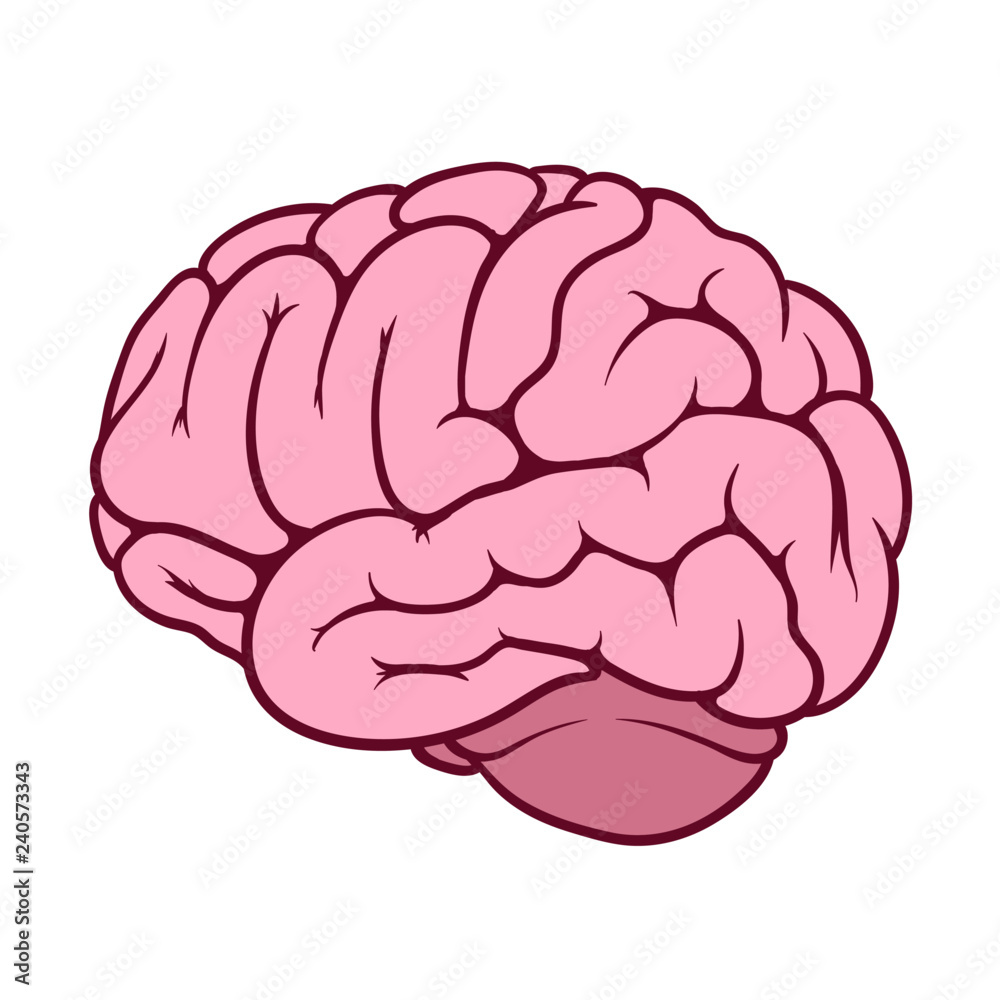 Pink illustration of a human brain Stock Vector | Adobe Stock