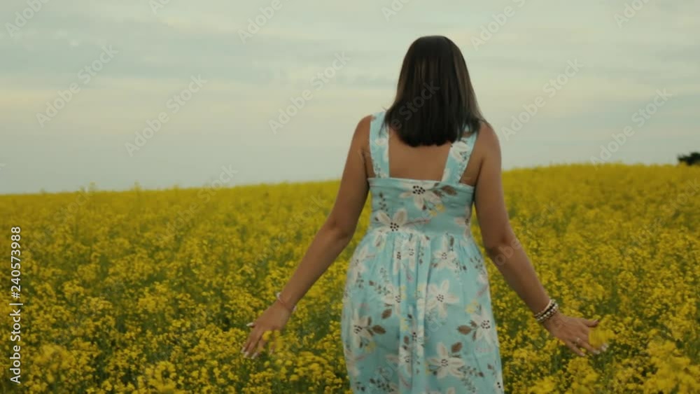 A beautiful young girl dressed in a blue dress walks thoughtfully across a field of yellow flowers. He touches flowers with his hands. Smiles and laughs A beautiful young girl dressed in a blue dress walks thoughtfully across a field of yellow flowers. He touches flowers with his hands. Smiles and laughs