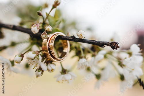 Wedding rings on a blossom tree branch