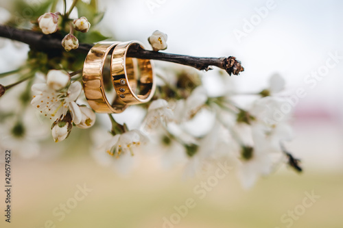 Wedding rings on a blossom tree branch