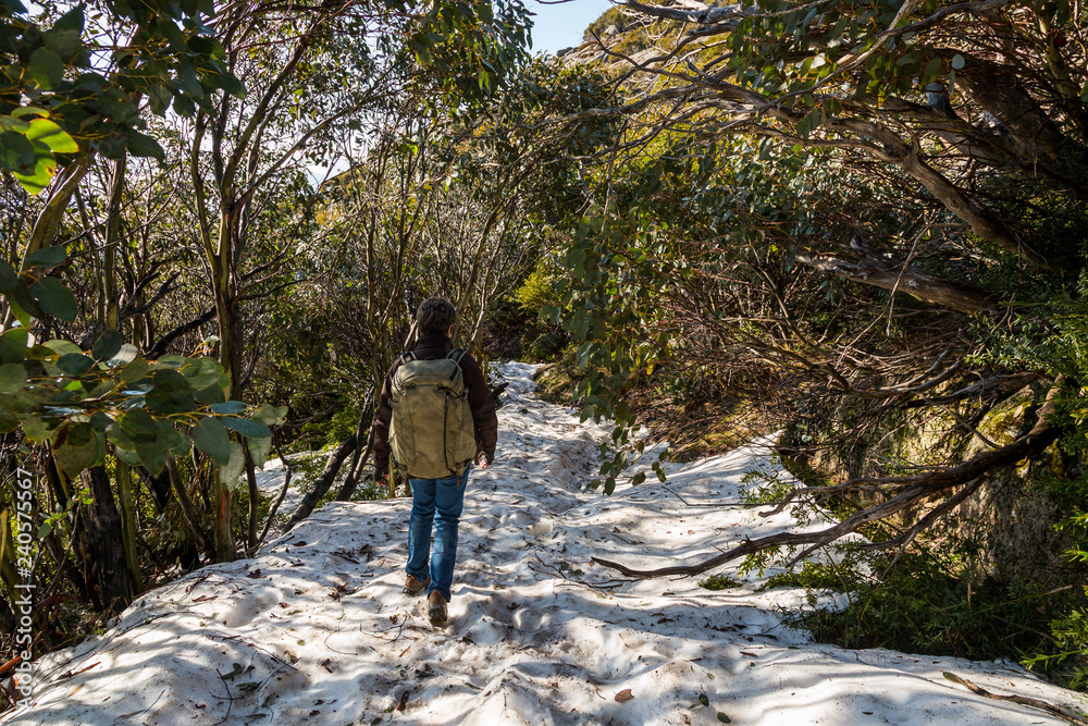 Lady hiking with large backpack in snow Mt Buffalo