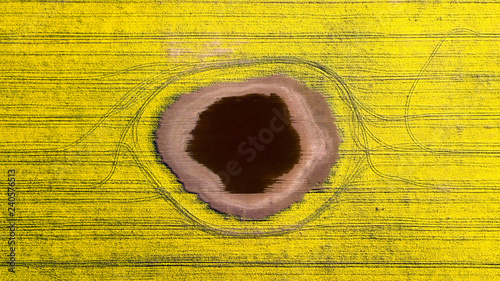 A small lake in the middle of bright yellow rape field. photo