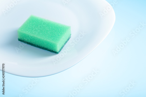 Sponge on a clean white plate.