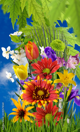 Fototapeta Naklejka Na Ścianę i Meble -  image of a beautiful bouquet of flowers
