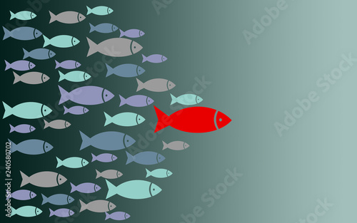 Leadership fish graphic on blue background photo