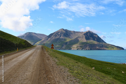 Straße nach Bakkgerdi Borgarfjördur Island