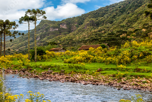 Canoas River, rocks, lawn, yellow flowers, barns and mountain with forest in background, cloudy sky, Urubici, Santa Catarina