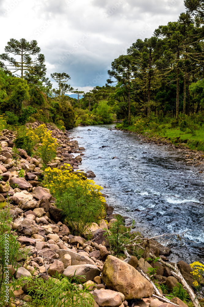 Canoas River, with rocks and forest on the banks, cloudy sky, Urubici, Santa Catarina Canoas River, with rocks and forest on the banks, cloudy sky, Urubici, Santa Catarina