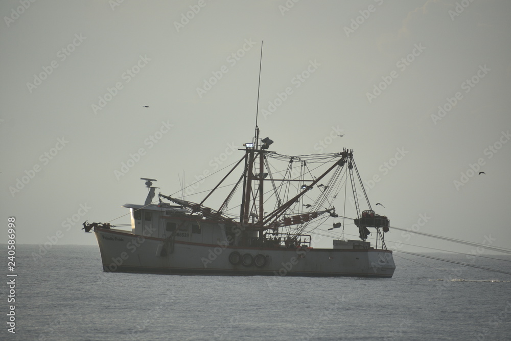 Fototapeta premium Ocean Themes
