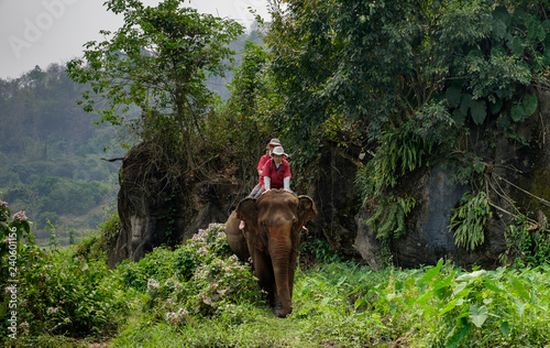 Thailand, Chiang Mai province, Ran Tong Elephant Sanctuary, Elephant trekking photo