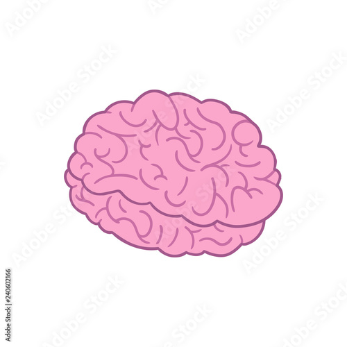 Purple cartoon brain from the side