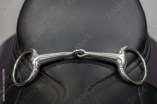 Horse bridle, snaffle
