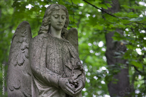 grieving angel against a background of dark green foliage © Mikhail Semenov