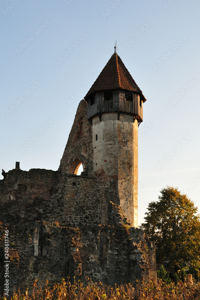 Obraz premium Zisterzienserkloster Kerz; Carta, Rumänien; Romania; Siebenbürgen