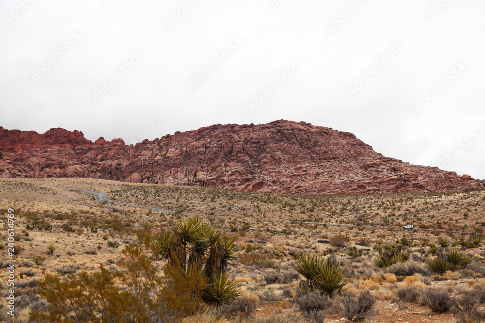 View of red rock canyon in Foggy day at nevada,USA View of red rock canyon in Foggy day at nevada,USA
