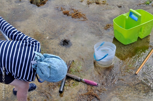 Un petit garçon qui pêche des crabes à marée basse en Bretagne