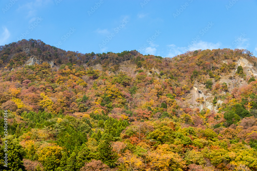 Autumn leaves of mountains in Japan / Daigo-town, Kuji-district, Ibaraki prefecture, Japan Autumn leaves of mountains in Japan / Daigo-town, Kuji-district, Ibaraki prefecture, Japan