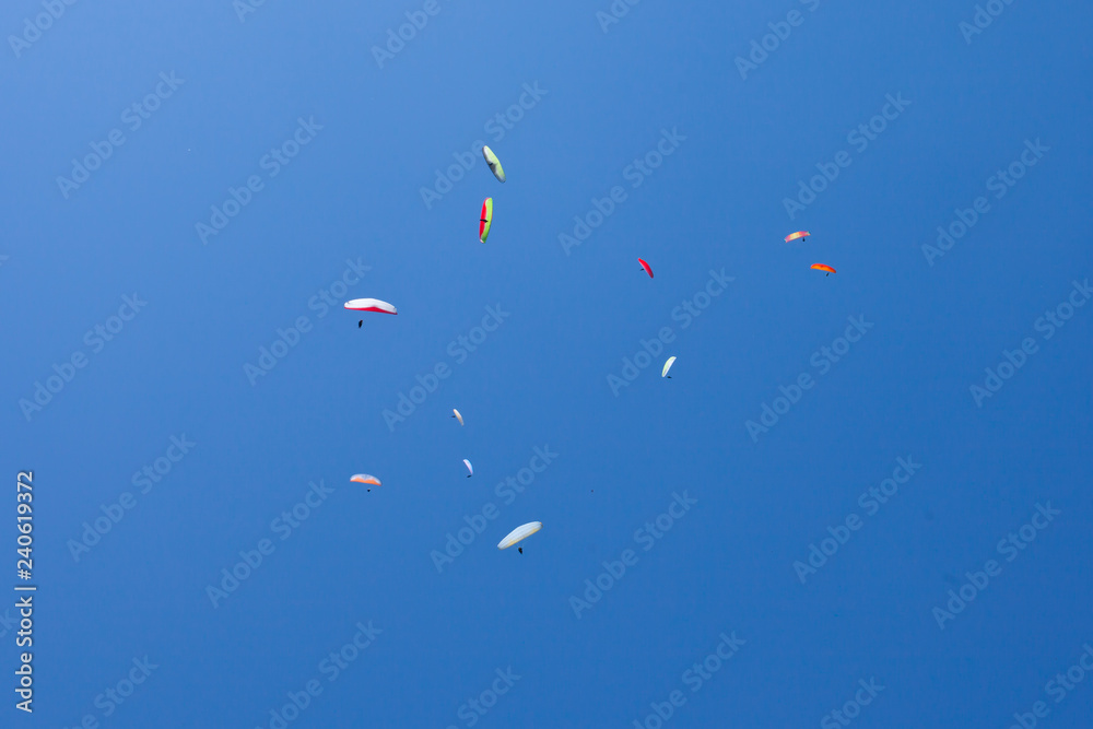 Multicolored paragliders Multicolored paragliders