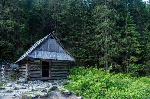 old wooden house in the forest © Marcin