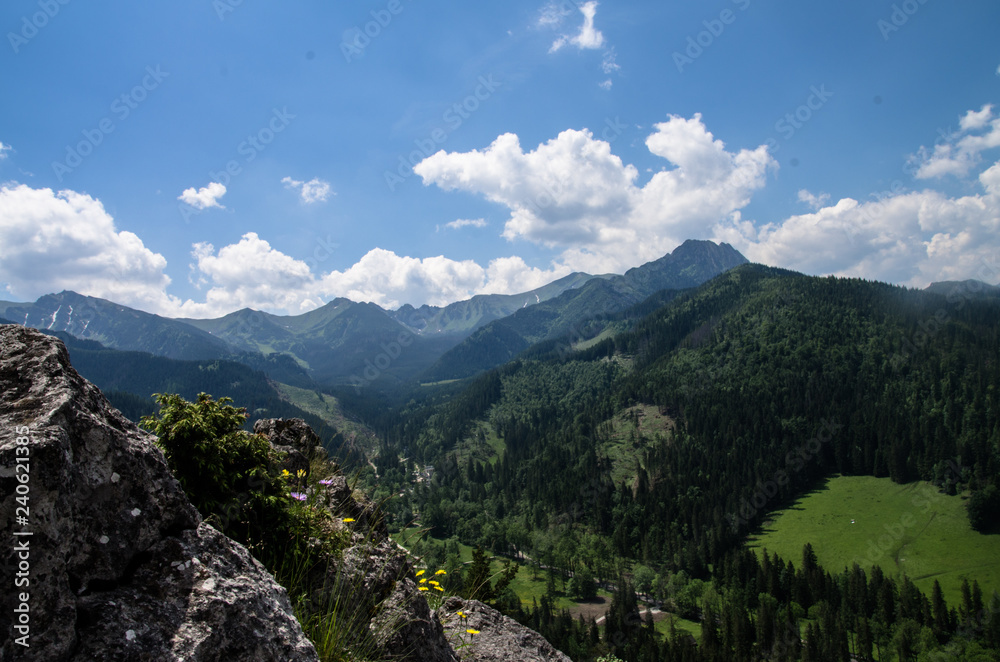 panoramic view of the mountains - obrazy, fototapety, plakaty 