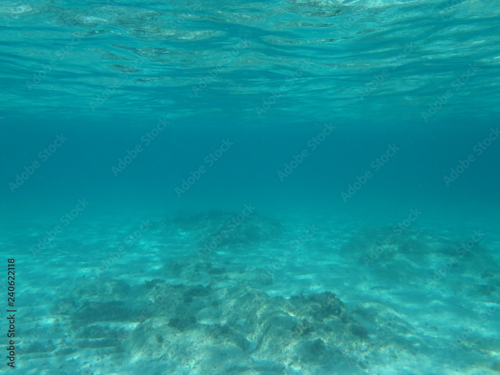 Underwater ocean photograph, blue and turquoise tones, looking up into sunlight from under the sea